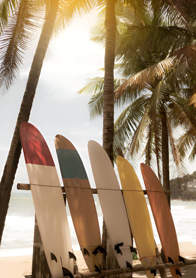 Surfboard Rental & Equipment - Soleia Surf Safari Packages
