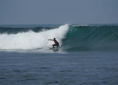 The bottom turn the complete guide to surfing's most important turn
